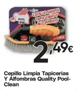 Hiper FROIZ Pool Line Cepillo Limpia Tapicerias Y Alfombras oferta