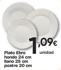Hiper FROIZ Plato Ebro oferta