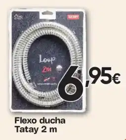 Hiper FROIZ Tatay flexo ducha 2 m oferta