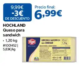 Costco Hochland queso para sandwich oferta