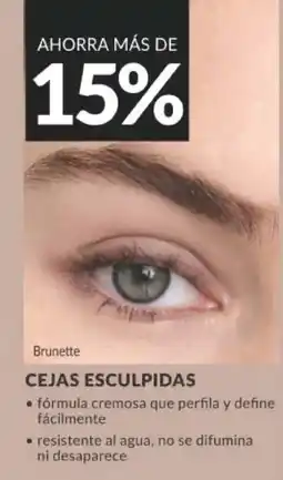 AVON Brunette cejas esculpidas oferta