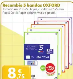 Alcampo Oxford recambio 5 bandas oferta