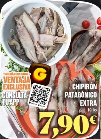 Chipirón Patagónico Extra