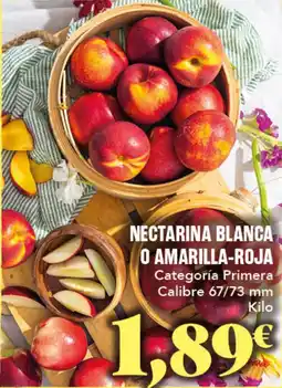 Gadis Nectarina blanca o amarilla-roja oferta
