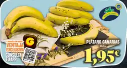 Gadis Plátano Canarias oferta