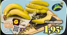 Gadis Platano canarias oferta