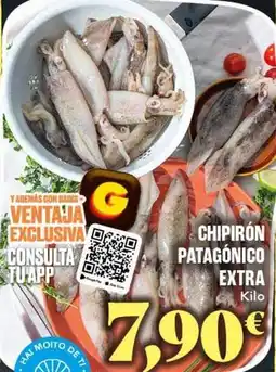 Gadis Chipiron patagonico extra oferta
