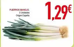 Masymas Origen - puerros manojo oferta