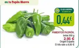 Masymas Origen - pimientos padrón oferta