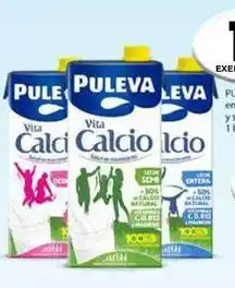 CashDiplo Puleva - leva pileta oferta