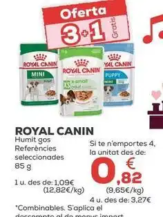 Kiwoko Royal canin - humedo perro oferta