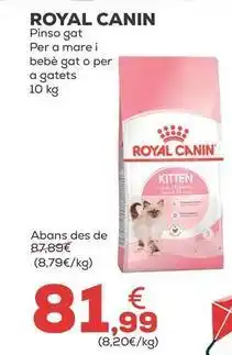 Royal canin - pienso gat per a mare i bebe gat o per o galets