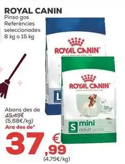 Kiwoko Royal canin - pienso perro oferta