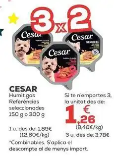 Kiwoko Cesar - humedo gas oferta