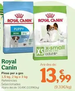 TiendAnimal Royal canin - pienso para perro oferta