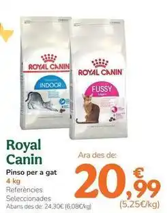 TiendAnimal Royal canin - pienso para gato oferta