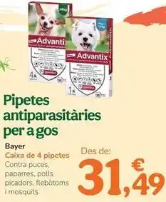 TiendAnimal Bayer - pipetas antiparasitarias para perro oferta