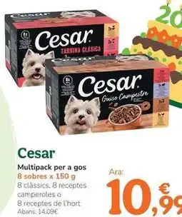 TiendAnimal Cesar - multipack para perro oferta