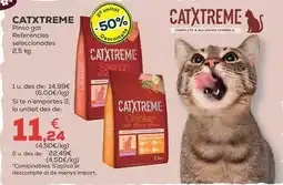 Kiwoko Catxtreme - pienso gato oferta