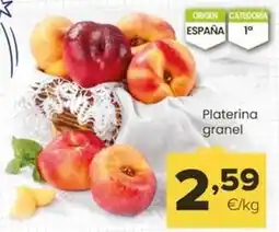 Autoservicios Familia Origen - platerina granel oferta