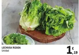 E.Leclerc Lechuga rizada oferta