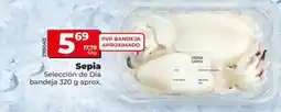 Dia Seleccion de dia - sepia oferta