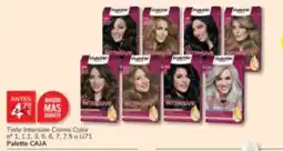 Consum Palette Tinte Intensive Creme Color oferta