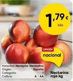 Cash FROIZ Nectarina roja oferta