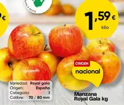 Cash FROIZ Manzana Royal Gala kg oferta