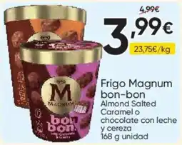 FROIZ Frigo Magnum bon-bon oferta