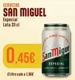 FROIZ San Miguel Especial oferta