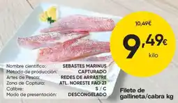 FROIZ Filete de gallineta/cabra kg oferta
