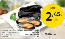 FROIZ Mejillón kg oferta