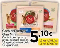 Cash FROIZ One Mini oferta