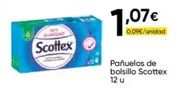 Cash FROIZ Scottex pañuelos de bolsillo oferta
