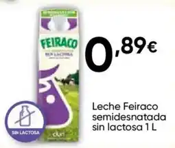 Cash FROIZ Feiraco leche semidesnatada oferta