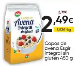 FROIZ Esgir copos de avena integral sin gluten oferta