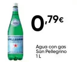 Cash FROIZ San Pellegrino agua con gas oferta
