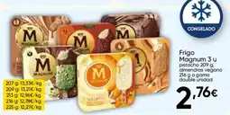 Cash FROIZ Frigo Magnum oferta