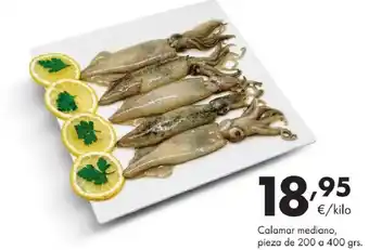 Calamar mediano