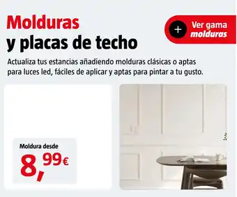 Molduras y placas de techo