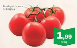 Sorli Tomaquet branca de belgica oferta