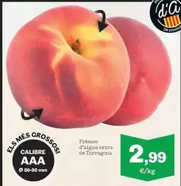 Sorli Préssec d'aigua extra de tarragona oferta