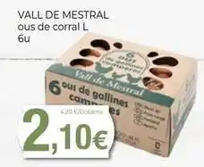 Keisy Mestral - vall de oferta