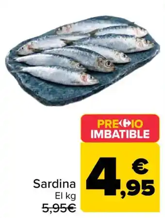 Sardina