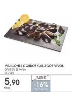 Supermercados Plaza Origen - mejillones gordos gallegos vivos oferta
