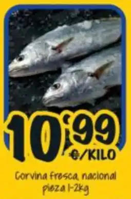 Cash Fresh Corvina fresca nacional oferta