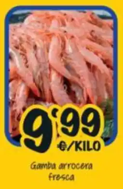 Cash Fresh Gamba arrocera fresca oferta