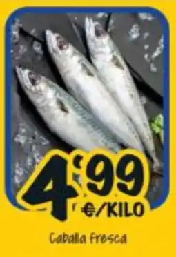Cash Fresh Caballa fresca oferta