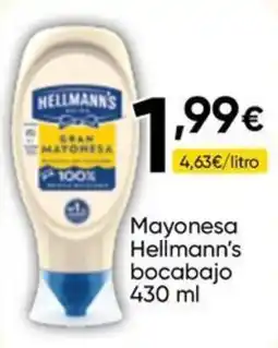 FROIZ Hellmann's mayonesa oferta